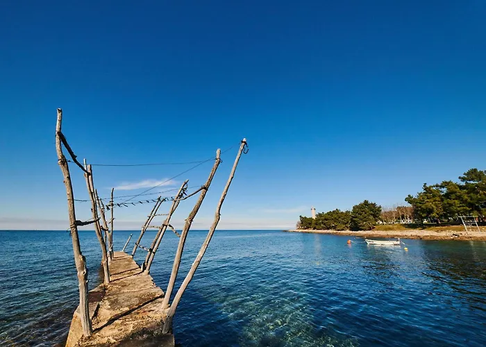 Mina's Shine * 우마그