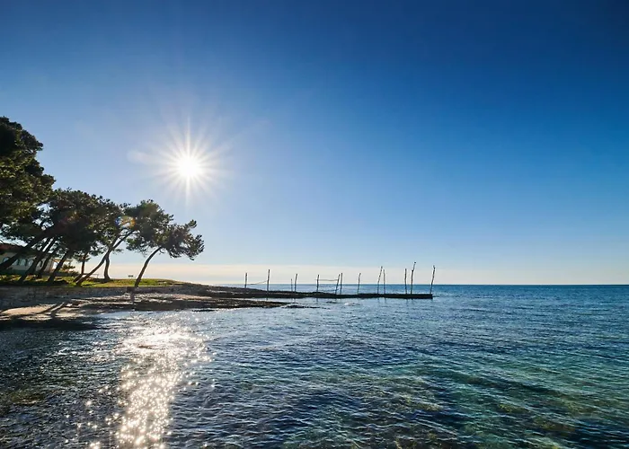 아파트 Mina's Shine *