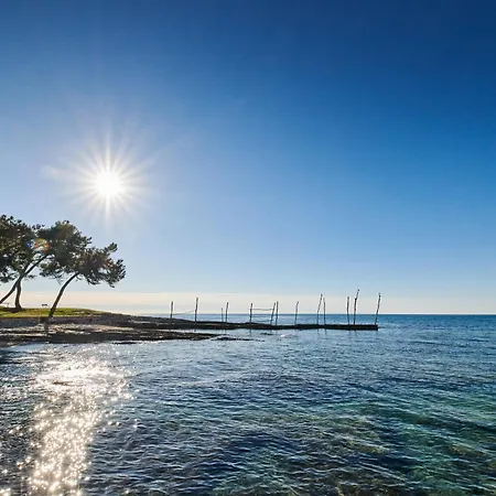 Apartment Mina's Shine *