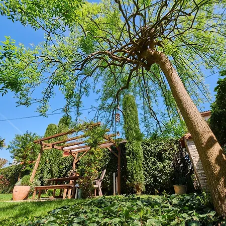 Mina's Shine Apartment *