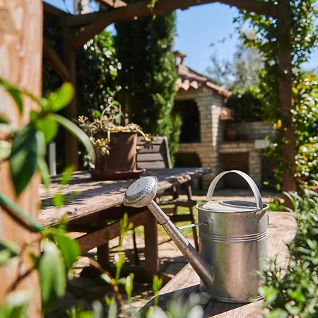 Mina's Shine Apartment